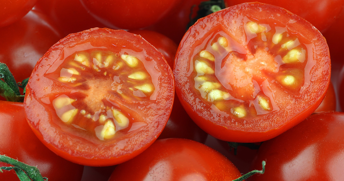 Как выбрать лучшие семена томатов для открытого грунта